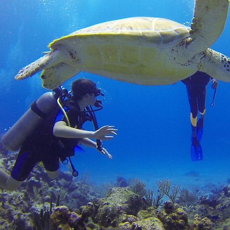 فندق Roxon Red Sea Eilat - Adults Only المظهر الخارجي الصورة