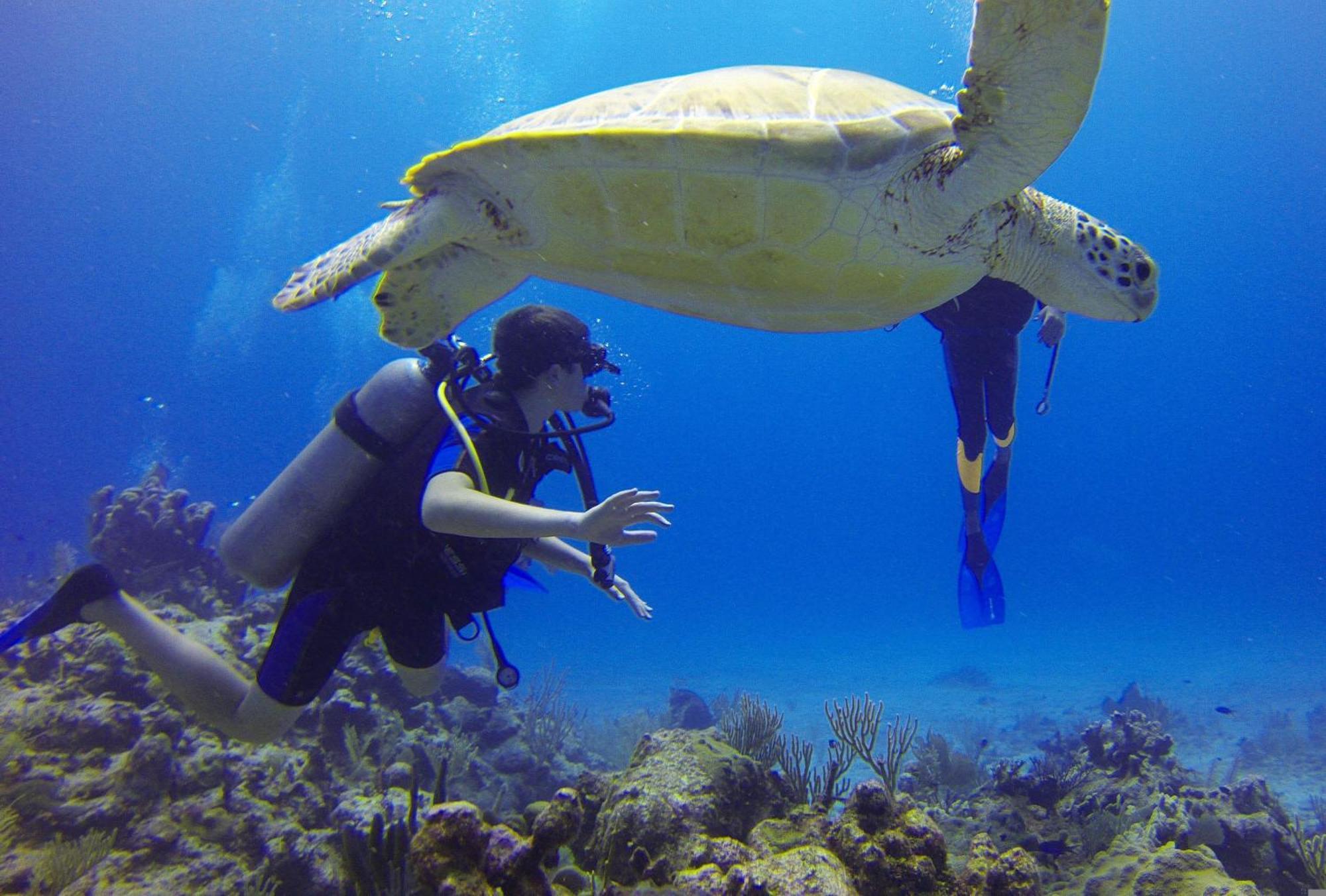 فندق Roxon Red Sea Eilat - Adults Only المظهر الخارجي الصورة